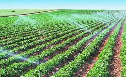 操逼抠逼在视频下栽农田高 效节水灌溉